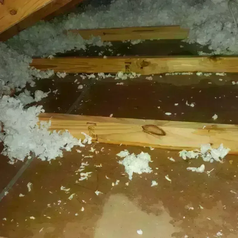 Attic Water Damage in Gulf Shores, AL