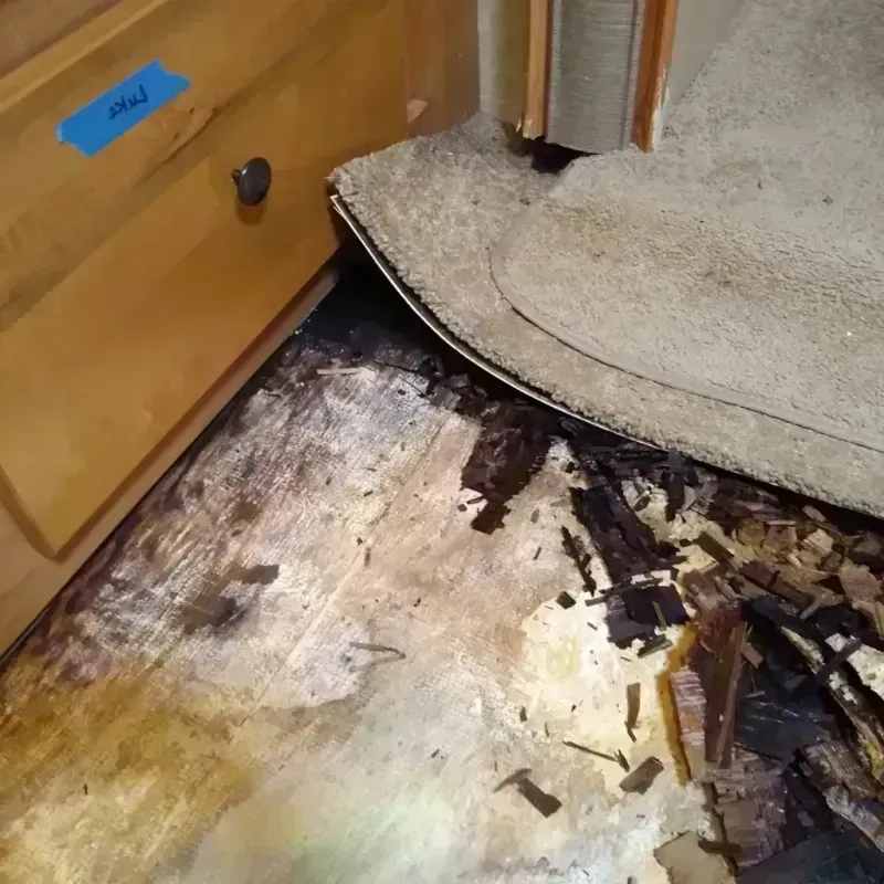 Wood Floor Water Damage in Gulf Shores, AL